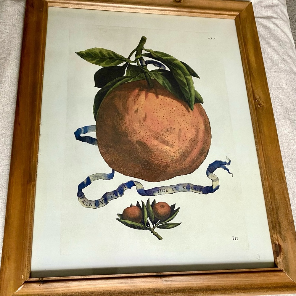 Vintage Inspired Framed Fruit Print